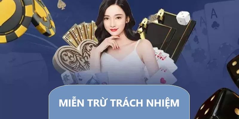 Các điều khoản miền trừ trách nhiệm 