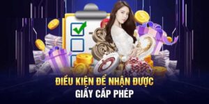 Giấy Phép Hoạt Động Net88